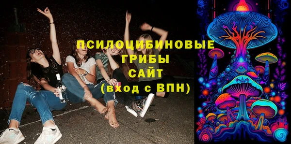 прущий лед Няндома