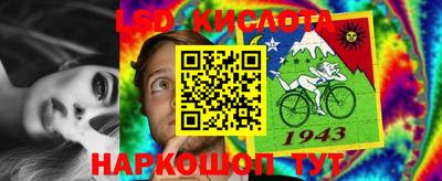 PSILOCYBIN Заводоуковск