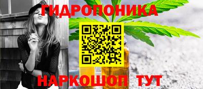шишки Жуковский