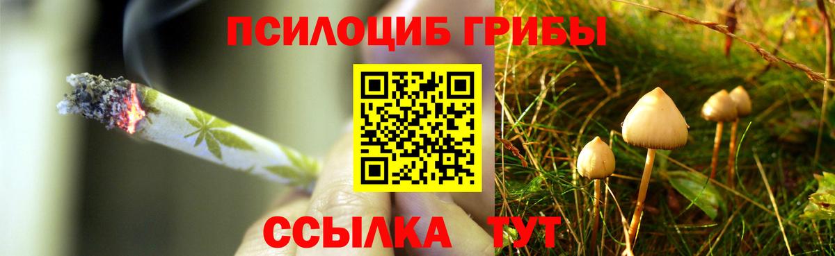 Галлюциногенные грибы прущие грибы  Вход с VPN  Сафоново 