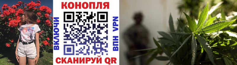 Бошки Шишки сатива Сафоново